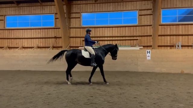 28) Malin Stenson (Orion). Klass 7. Ranch Riding W смотреть онлайн