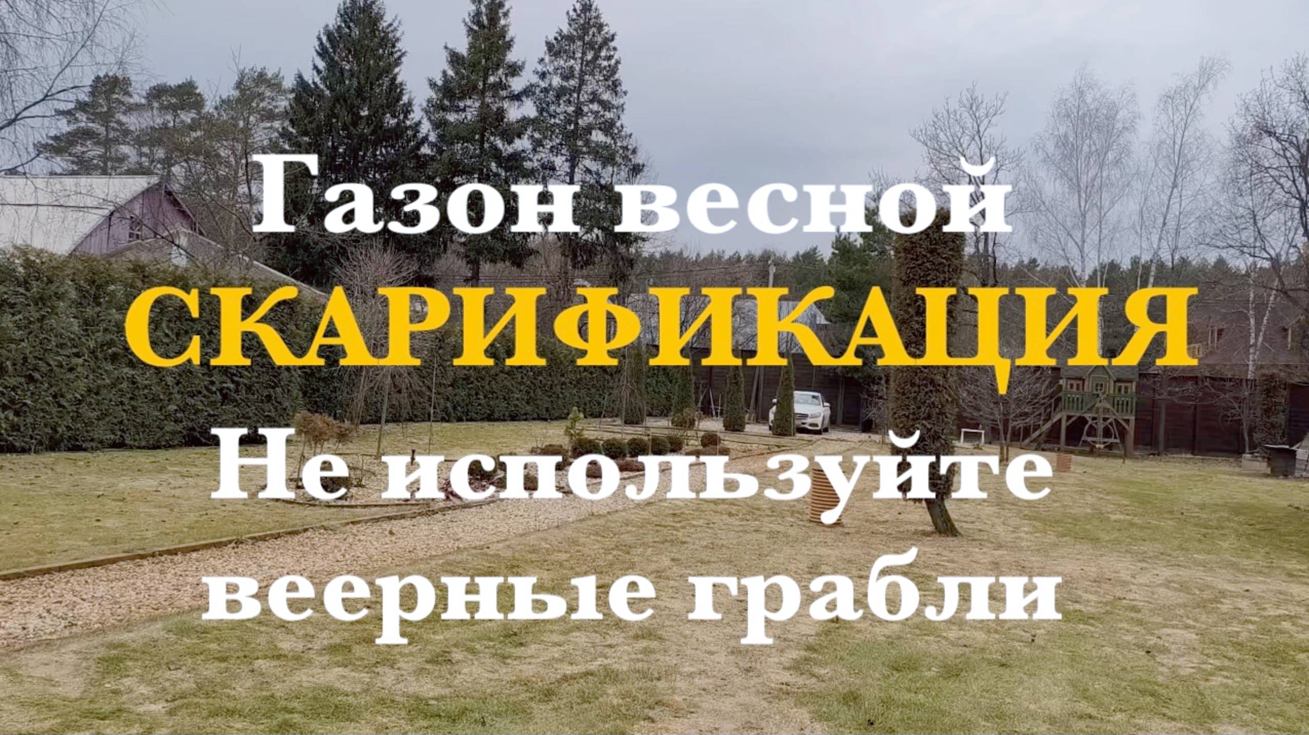 Скарификация газона. Веерные грабли.