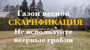 Скарификация газона. Веерные грабли.