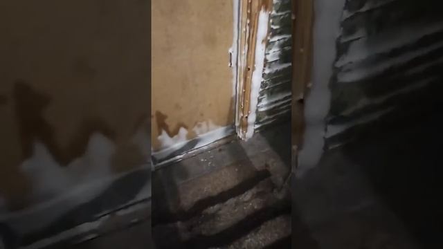 Питбуль Нала игнор кольца смотреть онлайн