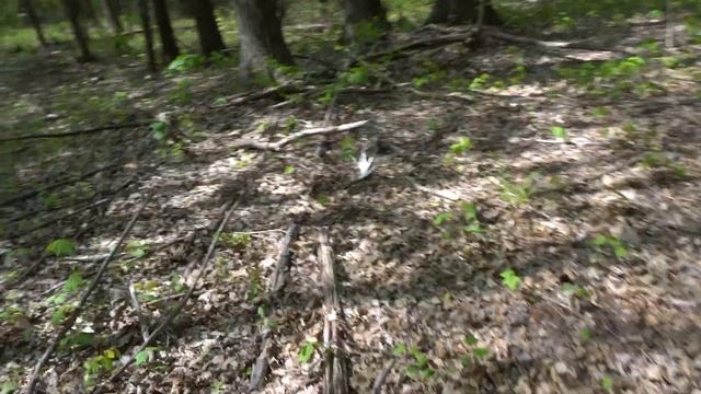 I found WHAT while hunting!? (wait for it) смотреть онлайн