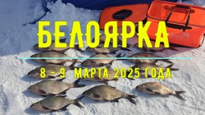 Ловля леща на коромысло зимой. Рыбалка на Белоярском водохранилище 8-9 марта 2025г.