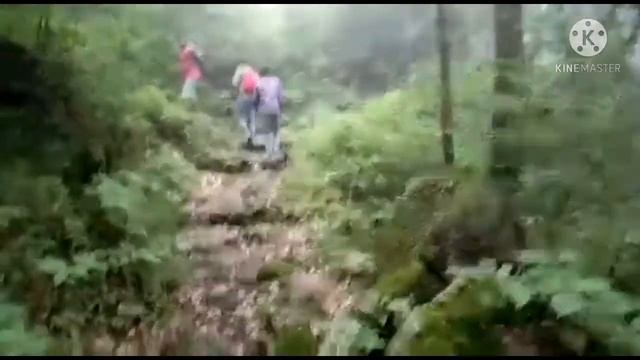 Shali tibba track mashobra shimla # ankush kaundal vlogs смотреть онлайн