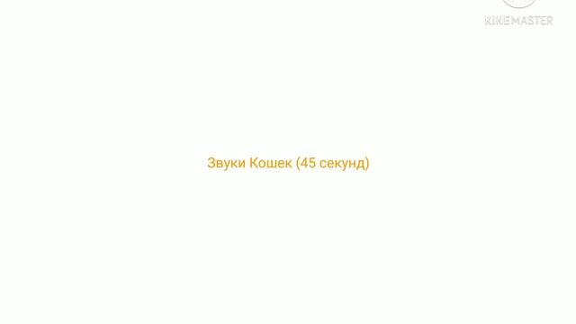 Звуки Кошек(45 секунд) смотреть онлайн