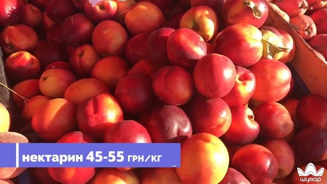 🍑 Персики, нектарини та абрикоси на "Шуварі", 16.09.20 смотреть онлайн