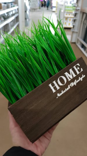 #shorts🌿ДЕКОР в ЛЕМАНА ПРО🌿март 2025