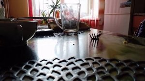 машины сказки волк и семеро козлят