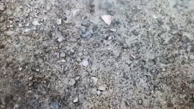 Let’s go ! To purple island / nefus vlog ✌️# qatar 🇶🇦 смотреть онлайн