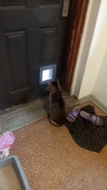 все тот же #вопрос: идти или нет на улицу 26#октября смотреть онлайн