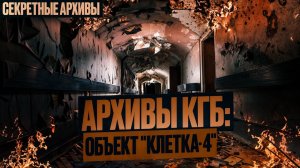 Секретные Архивы КГБ: Объект "Клетка - 4". Зона 51 в ССР, что пошло не так? Фантастический рассказ.