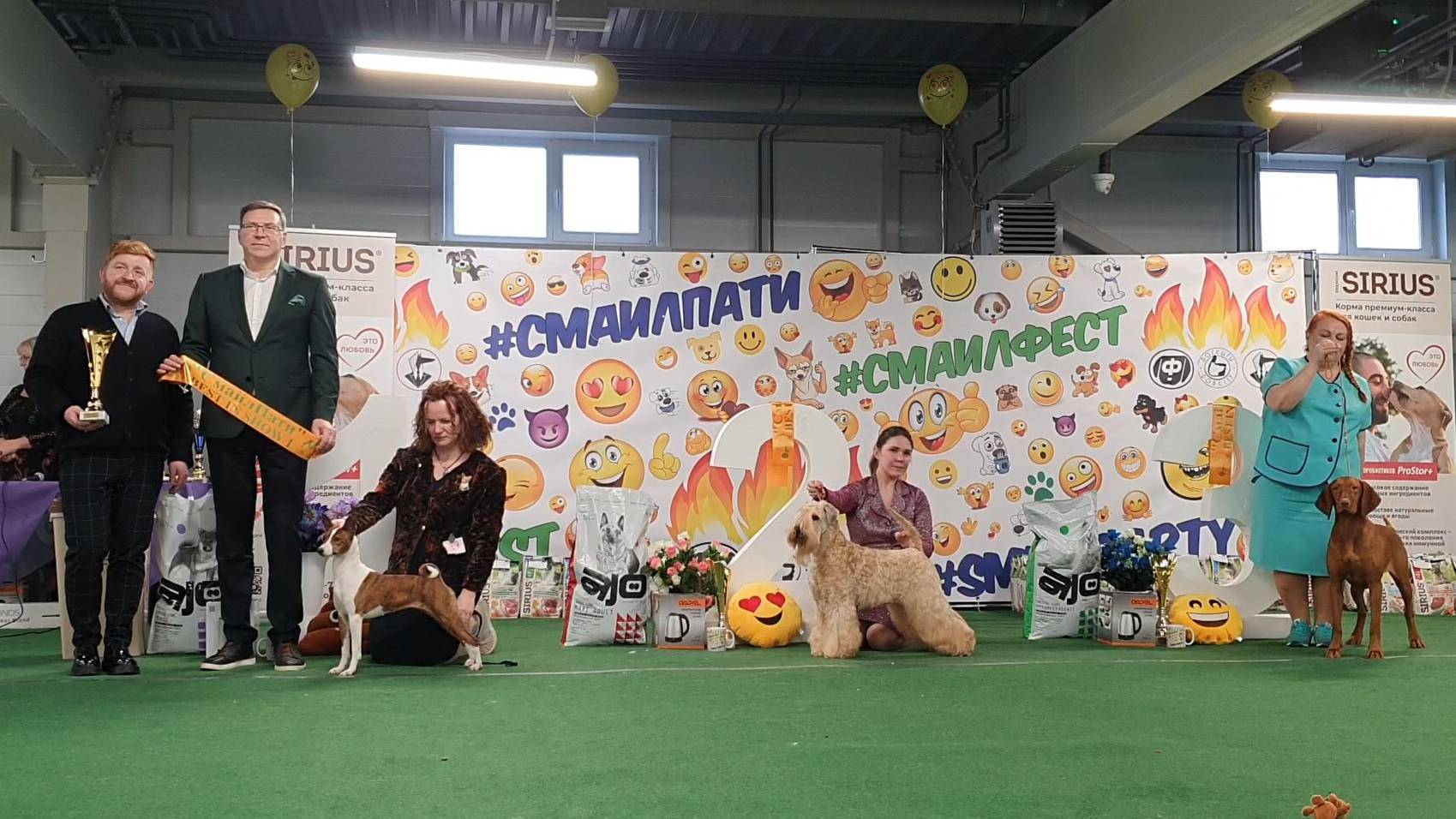 08.03.2025, СПб. Клуб "Президент" (РКФ, ОАНКОО). Выставка собак всех пород "СМАЙЛ-ПАТИ" (САС, ЧФ) смотреть онлайн