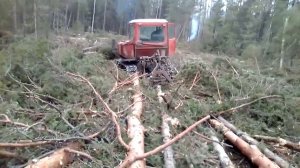 ДТ 75 в деле , работа в лесу.