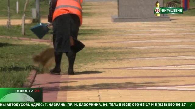 Сортировка мусора. смотреть онлайн