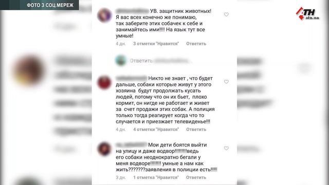 Какие собаки представляют угрозу для окружающих? - 01.02.2019 смотреть онлайн