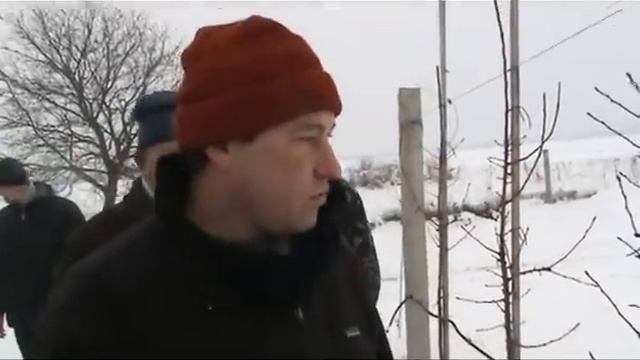 champion spindel.avi смотреть онлайн