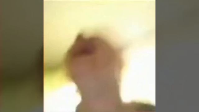 Komputersem Смеëтся