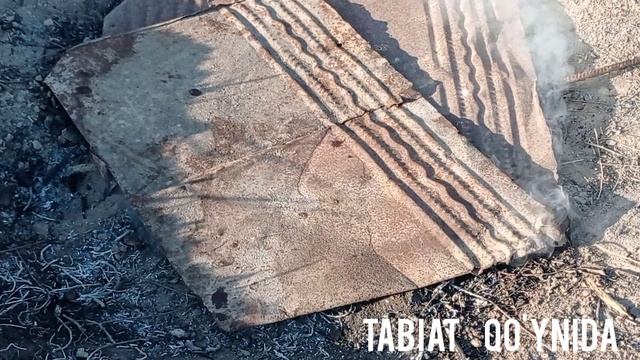 Tandir go'sht.Qashqadaryocha tandir kabob qo'y go'shtidan juda mazali😋#tandirkabob#tandirgosht#asmr смотреть онлайн