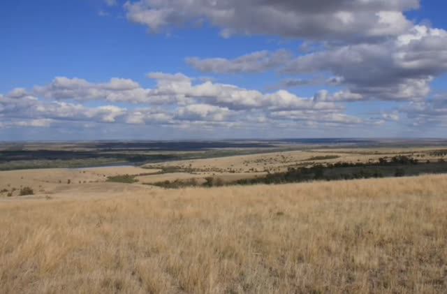 "Пробудись, ты, степь широкая!" смотреть онлайн