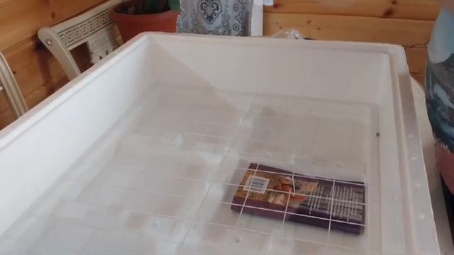 Инкубатор Несушка, 104. Обзор посылки. смотреть онлайн