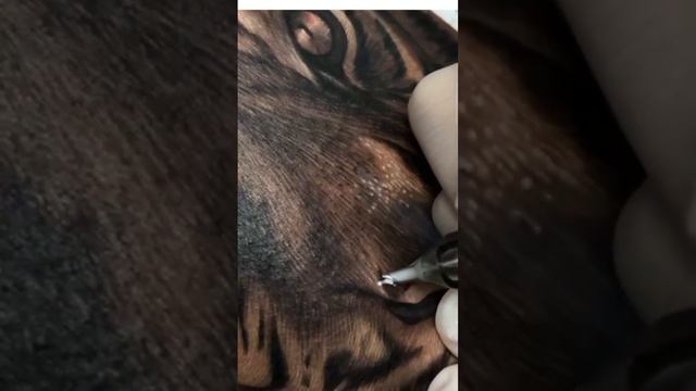 satyashiv_dhoke #tiger #tattoo #tattooartist #shorts #youtubeshorts смотреть онлайн