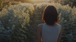 Полынь  трава