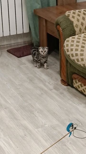 Испугалась чмока