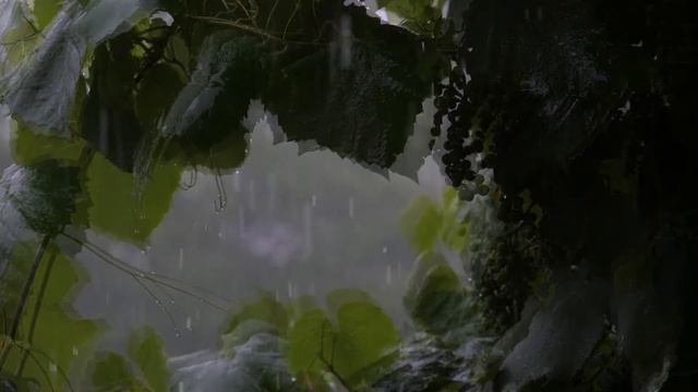 Keys of Moon - Downpour смотреть онлайн