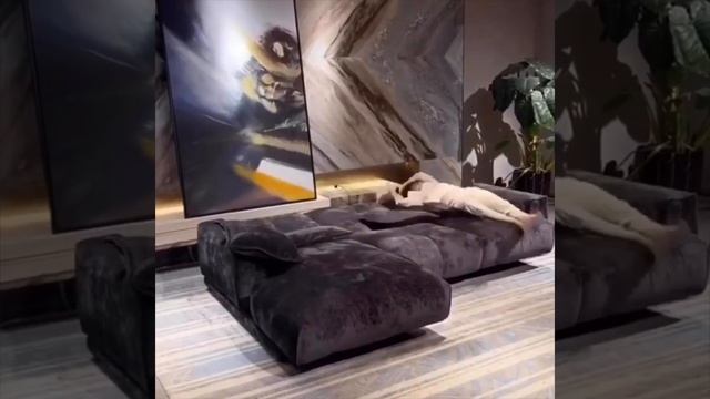 диван кровать трансформер, диван кровать, смарт кровать, смарт мебель, #дверироссии_спб #home смотреть онлайн