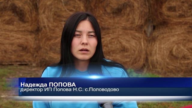 Урожай 2023. В Пермском крае продолжается уборочная компания смотреть онлайн