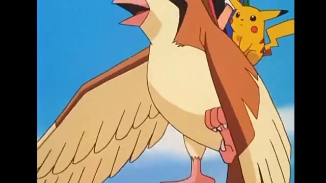 Ash remembered those days when he traveled with his pidgeot смотреть онлайн