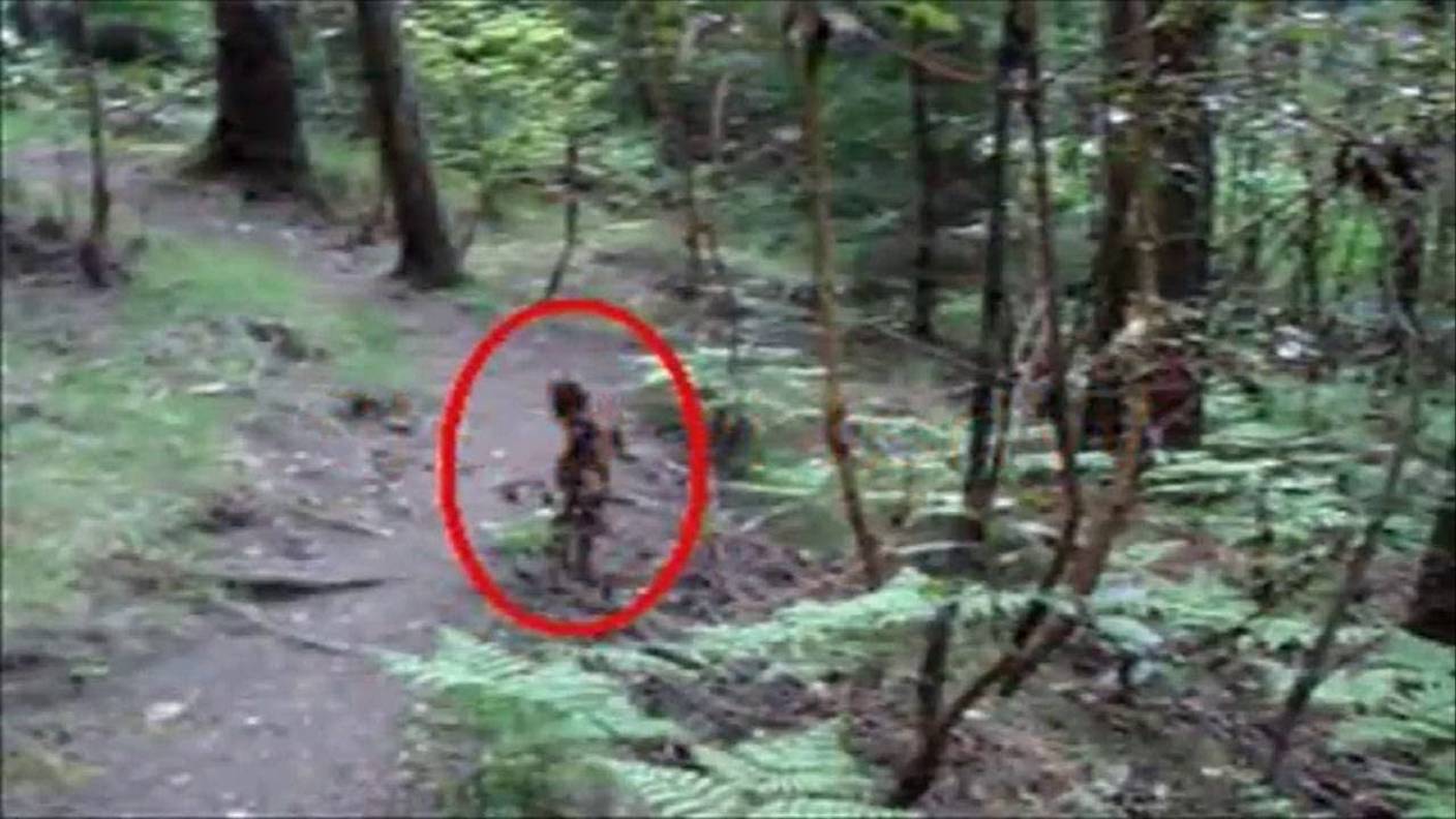 Гоблины, привидения, йети, снятые на видео смотреть онлайн