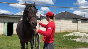 Выпуск 7.1 | Садись, он спокойный | Александр Обжерин