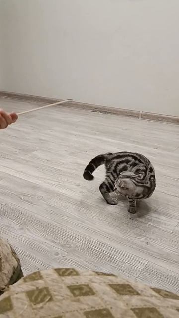 Рыбалка на Весту