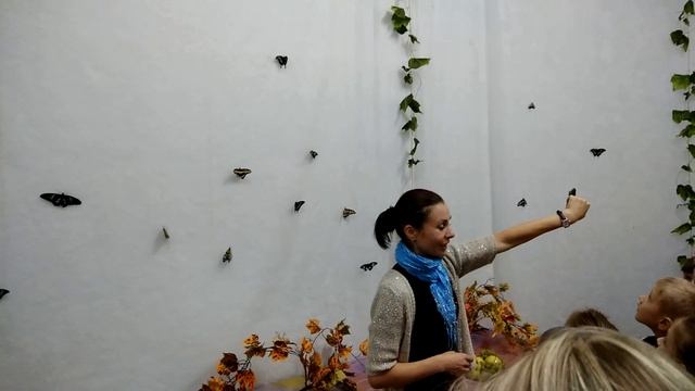 VLOG Выставка тропических бабочек | ЛенаМуза смотреть онлайн