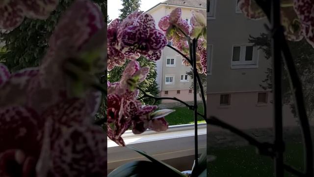 2 мая 2023 г. смотреть онлайн