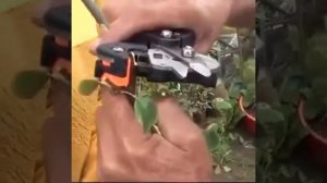 Professional Garden Grafting Tool Kit