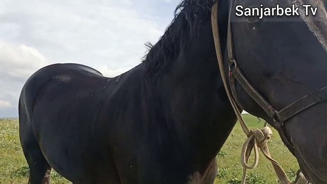 MURODJON FAYZIEV OTXONASIGA SAYOHAT. TREYLER.SAMARQAND URGUT 20.04.2022