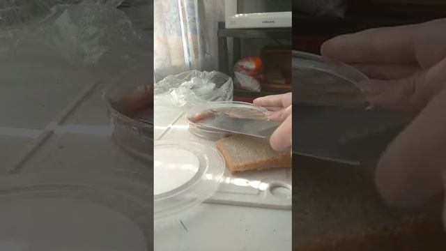 Селёдка с моенезом вкусно очень пользуйтесь!! смотреть онлайн