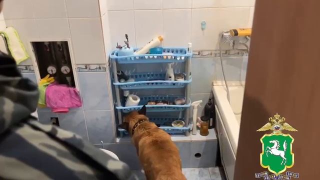 Сотрудниками полиции задержана заместитель директора одного из средних специальных учебных заведений