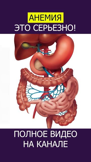 ДЕФИЦИТ ЖЕЛЕЗА Главные ПРИЧИНЫ, о которых ВЫ не подозреваете! #shotrs #железодефицит смотреть онлайн