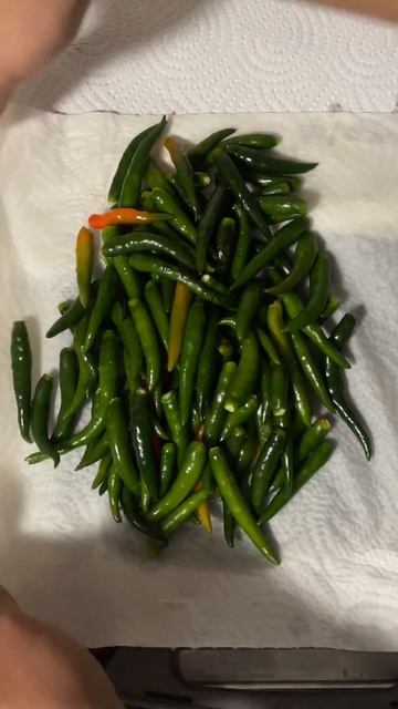 How to preserve green chilis in the fridge for long time смотреть онлайн