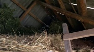 Как живут пенсионеры в России/ как заработать на пенсии? Бизнес на вениках