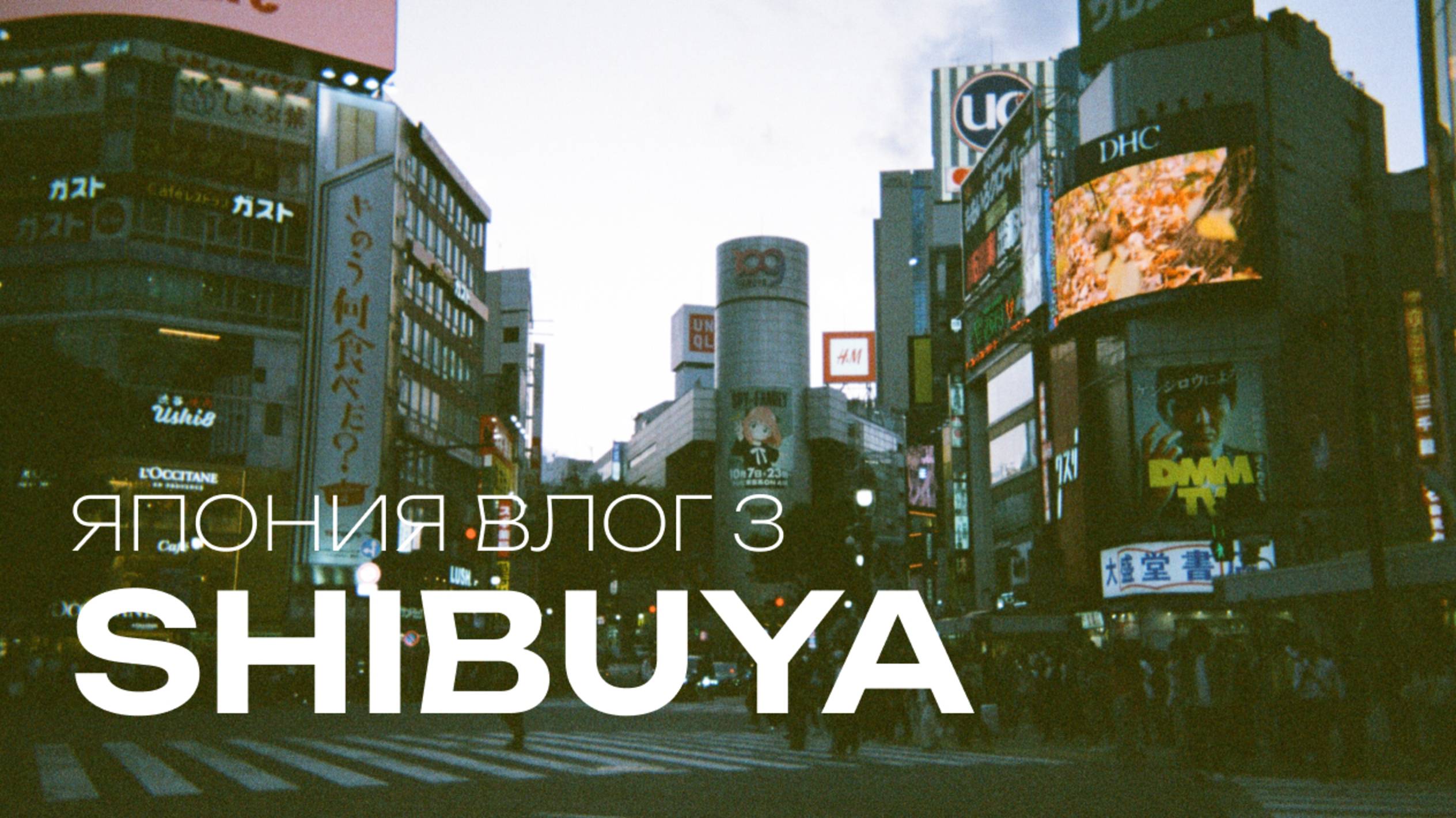 ОДИН ДЕНЬ В ТОКИО: Храм котов // Японский Макдоналдс // Сибуя Кроссинг // что посмотреть в Токио