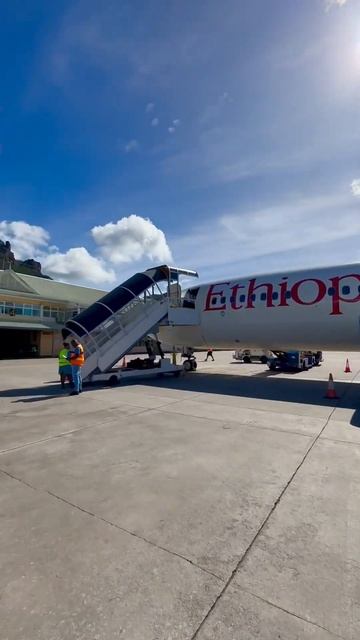 Welcome to paradise #aviation #airport #travel #shorts смотреть онлайн