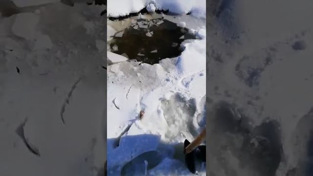 Рыбалка на лопату смотреть онлайн