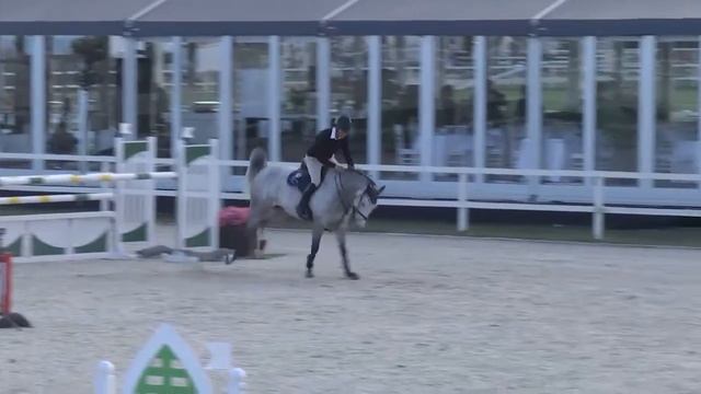 CASINI II - Alex Hempleman - 7.Years.1.35m - Valencia (5.11.2014) смотреть онлайн