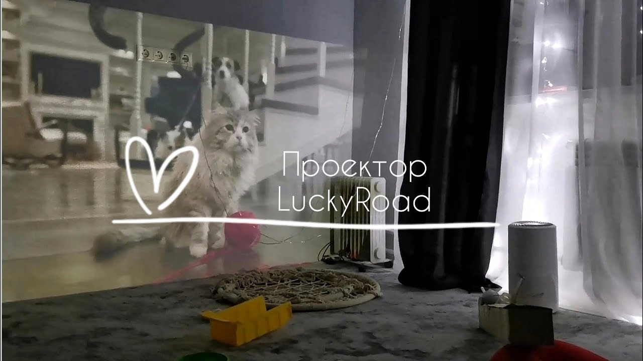Распаковка и обзор смарт-ТВ проектора 📽️ Стоит ли покупать? Smart TV LuckyRoad смотреть онлайн
