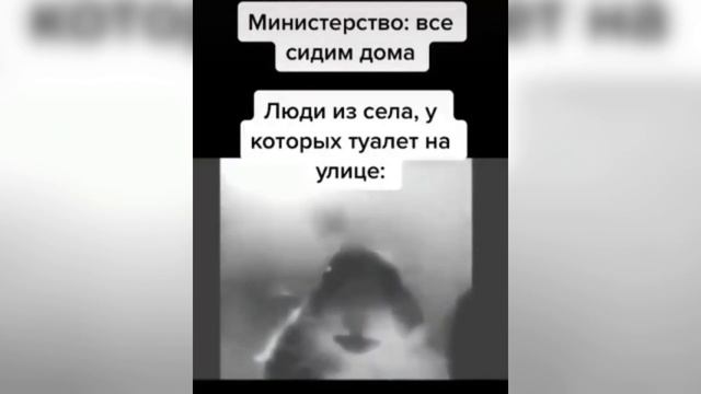 ЛУЧШИЕ ПРИКОЛЫ! СМЕШНЫЕ ВИДЕО! ПРИКОЛЫ С ЖИВОТНЫМИ! ТЕСТ НА ПСИХИКУ!! АПРЕЛЬ 2020! смотреть онлайн