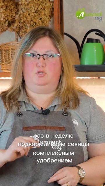 Главные подкормки петунии! смотреть онлайн