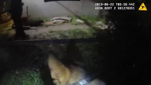 Riviera Beach police officers fired for body camera violations after suspect winds up beaten смотреть онлайн